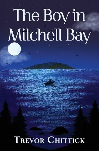 Cover image for The Boy in Mitchell Bay