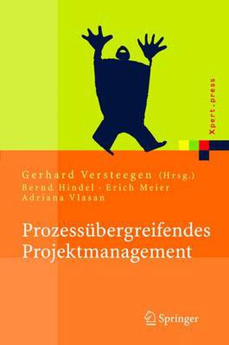 Cover image for Prozessubergreifendes Projektmanagement: Grundlagen Erfolgreicher Projekte