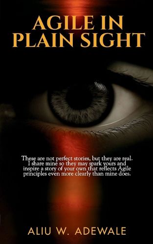 Cover image for Agile In Plain Sight