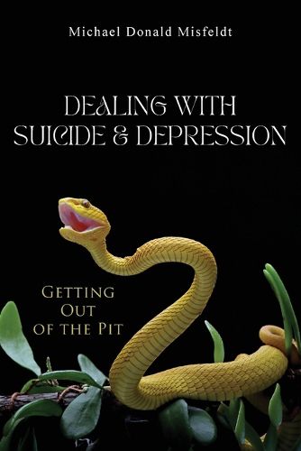 Cover image for Dealing with Suicide & Depression