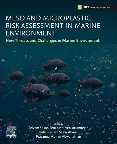 Cover image for Meso and Microplastic Risk Assessment in Marine Environments