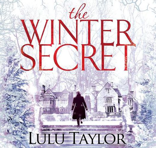 Cover image for The Winter Secret