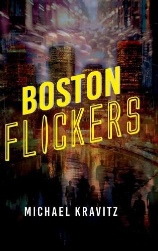 Cover image for Boston Flickers