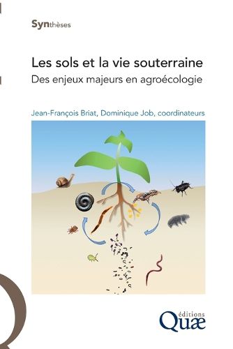 Cover image for Les sols et la vie souterraine