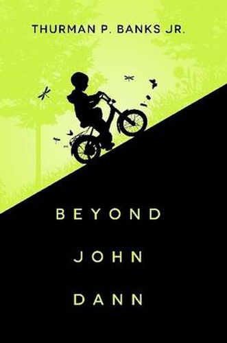 Cover image for Beyond John Dann