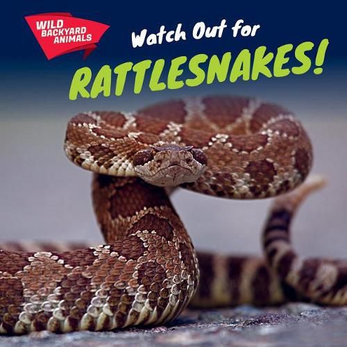 Cover image for Watch Out for Rattlesnakes!