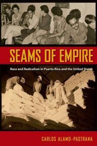 Cover image for Seams of Empire: Race and Radicalism in Puerto Rico and the United States