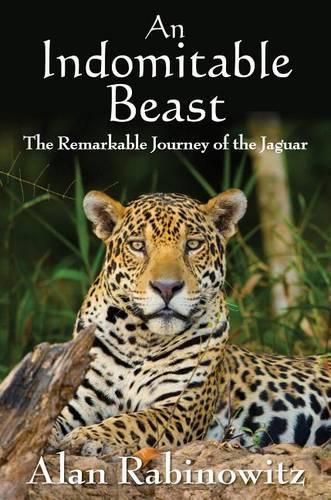 Cover image for An Indomitable Beast: The Remarkable Journey of the Jaguar