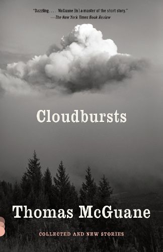 Cover image for Cloudbursts: Collected and New Stories