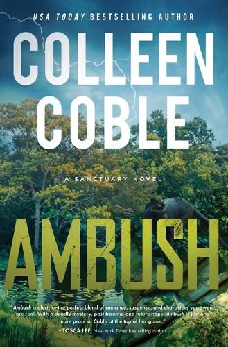 Cover image for Ambush
