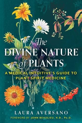 Cover image for The Divine Nature of Plants