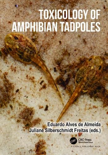 Cover image for Toxicology of Amphibian Tadpoles