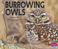 Cover image for Burrowing Owls