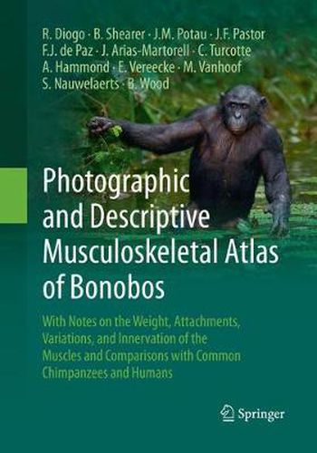 Photographic and Descriptive Musculoskeletal Atlas of Bonobos: With Notes on the Weight, Attachments, Variations, and Innervation of the Muscles and Comparisons with Common Chimpanzees and Humans