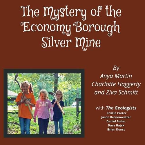 Cover image for The Mystery of the Economy Borough Silver Mine DIRECT