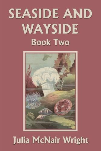 Cover image for Seaside and Wayside, Book Two (Yesterday's Classics)
