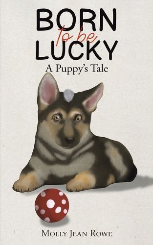 Cover image for Born to be Lucky