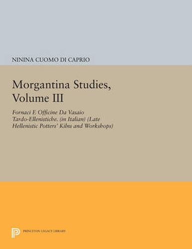 Morgantina Studies, Volume III: Fornaci e Officine da Vasaio Tardo-ellenistiche. (In Italian) (Late Hellenistic Potters' Kilns and Workshops)