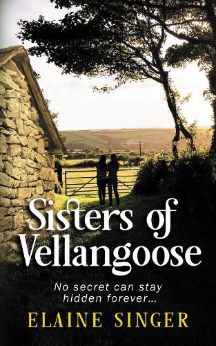 Cover image for Sisters of Vellangoose