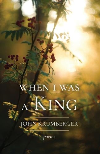 Cover image for When I Was a King