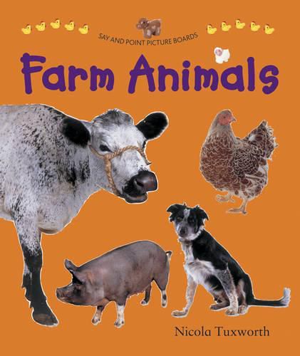 Cover image for Say and Point Picture Boards: Farm Animals