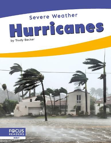 Cover image for Hurricanes