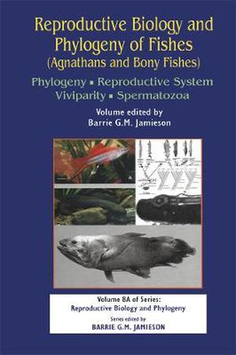 Cover image for Reproductive Biology and Phylogeny of Fishes (Agnathans and Bony Fishes): Phylogeny, Reproductive System, Viviparity, Spermatozoa