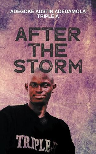 Cover image for After the Storm