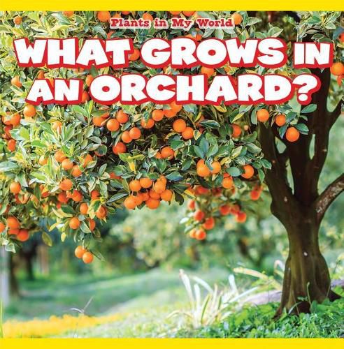 Cover image for What Grows in an Orchard?