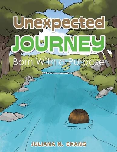 Cover image for Unexpected Journey: Born with a Purpose