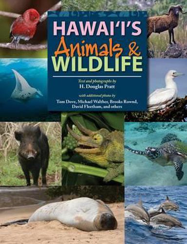 Hawaii's Animals and Wildlife