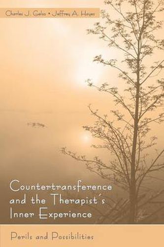 Cover image for Countertransference and the Therapist's Inner Experience: Perils and Possibilities