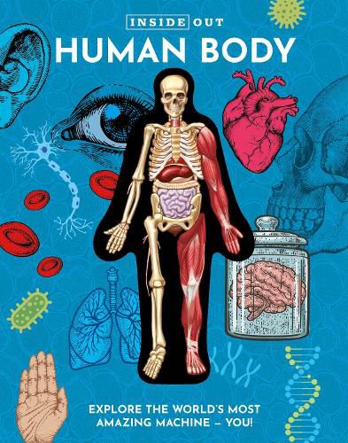 Cover image for Inside Out Human Body