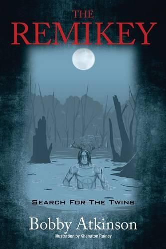 Cover image for The Remikey: Search For The Twins