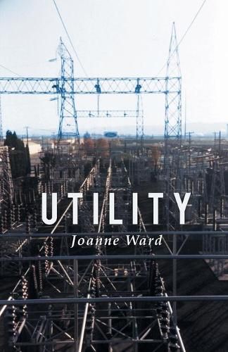 Cover image for Utility