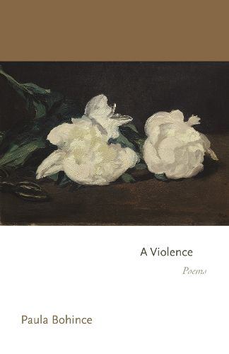 Cover image for A Violence