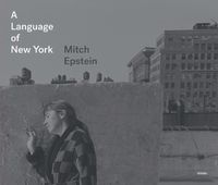 Cover image for A Language of New York