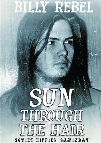 Cover image for Sun Through the Hair