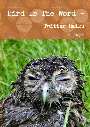 Cover image for Bird is the Word - Twitter Haiku