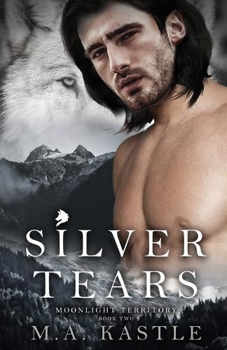 Cover image for Silver Tears