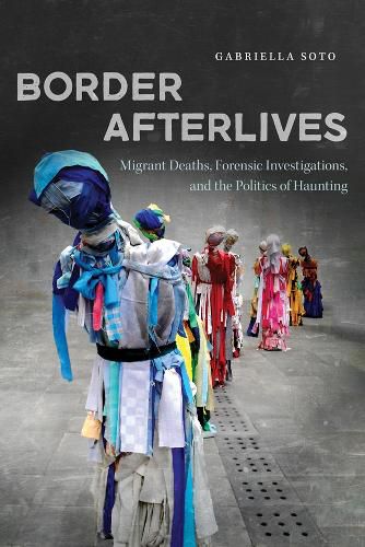 Cover image for Border Afterlives