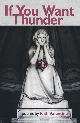 Cover image for If You Want Thunder