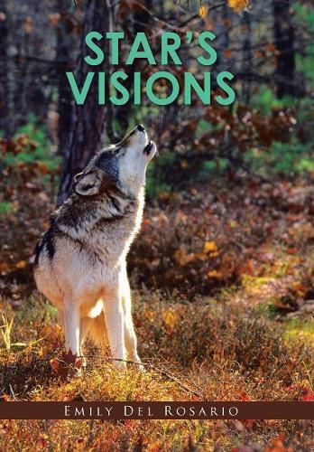 Cover image for Star's Visions