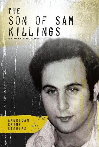 The Son of Sam Killings