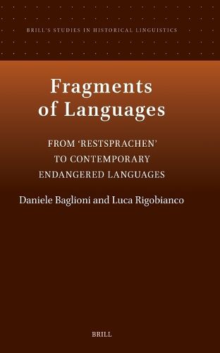 Cover image for Fragments of Languages