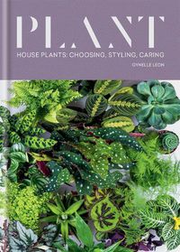 Cover image for Plant: House plants