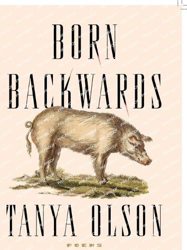 Cover image for Born Backwards