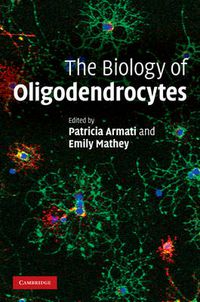 Cover image for The Biology of Oligodendrocytes