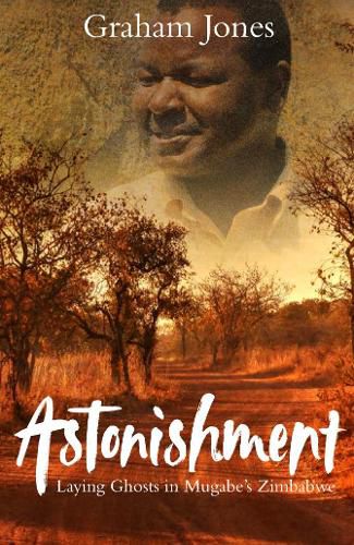 Cover image for Astonishment: Laying Ghosts in Mugabe's Zimbabwe