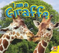 Cover image for Giraffe